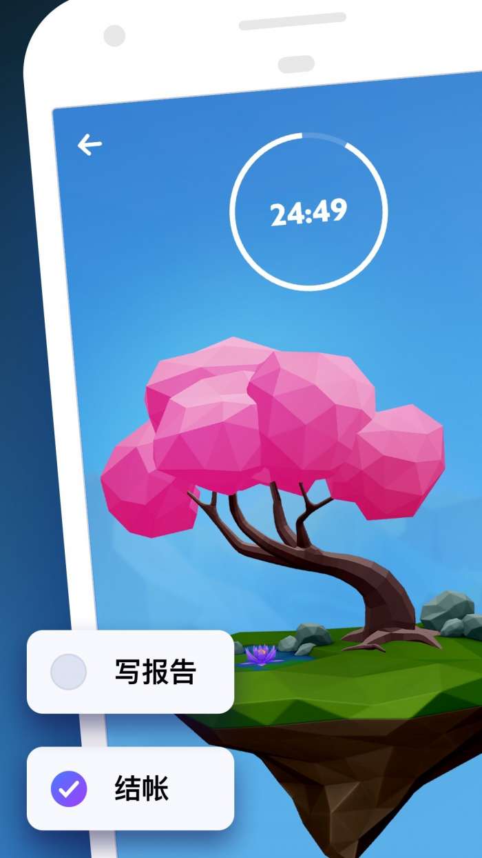 森林成长图1