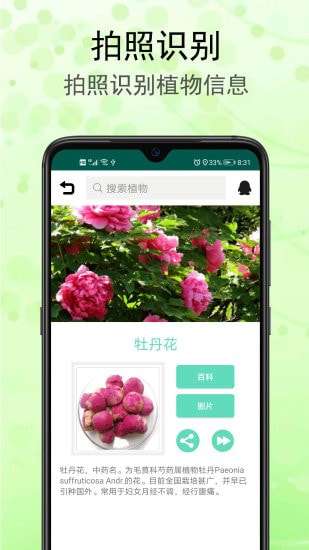 识花草软件图1