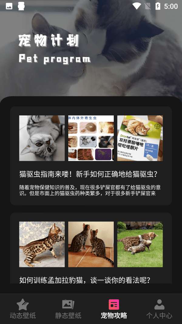 猫咪壁纸软件图1