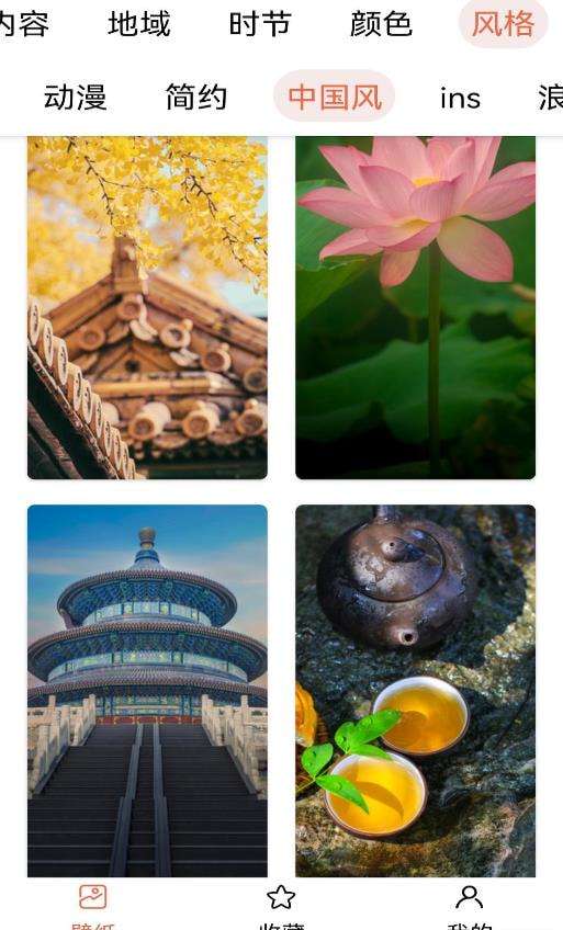 遥望主题壁纸手机版图1