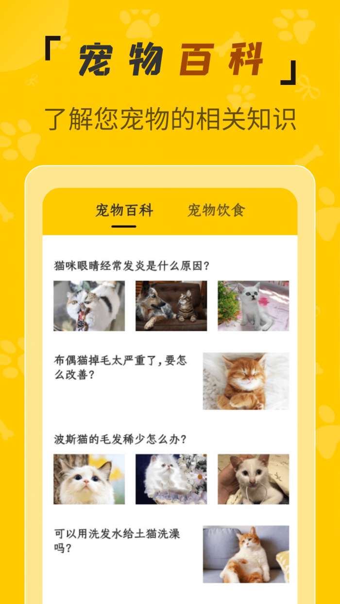 人猫翻译机免费版图5