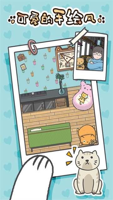 猫咪在哪里图4