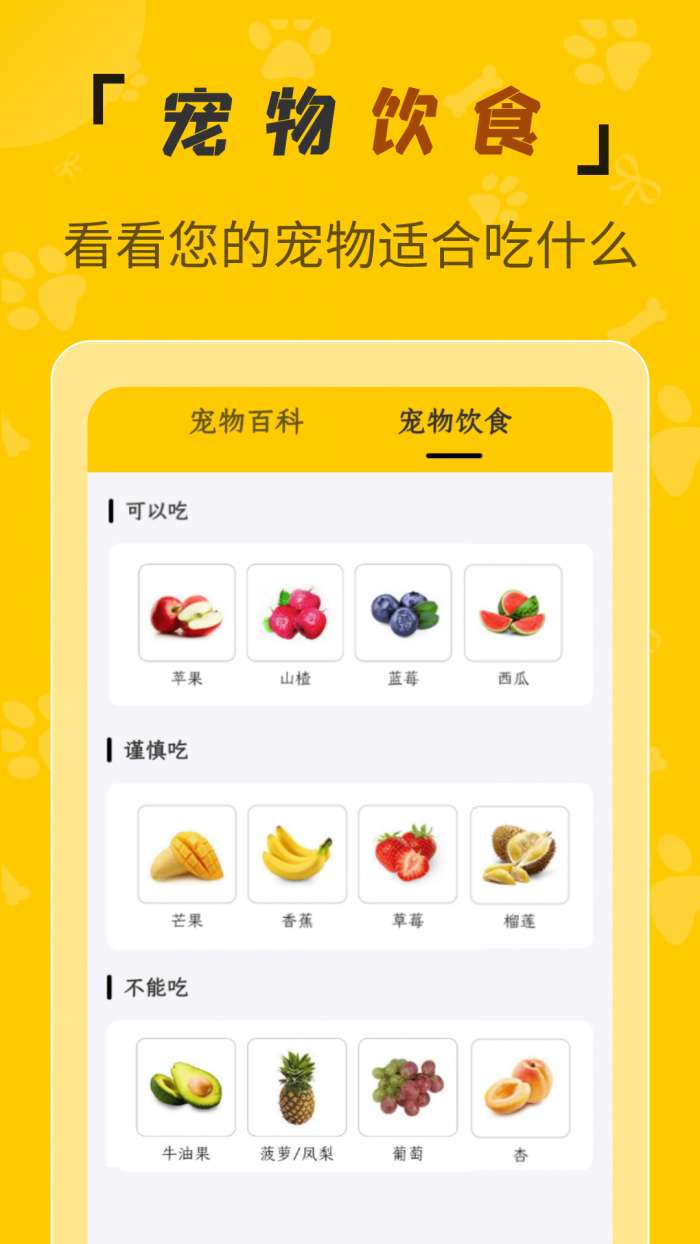 人猫翻译机免费版图4
