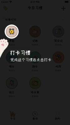 喵日常图4