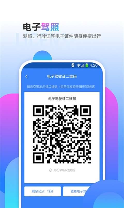 斑马信用查询违章图3