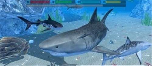 终极鲨鱼攻击图2