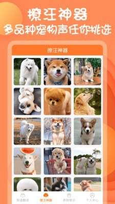动物对话器中文版小软件图2