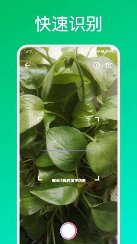 识花君植物识别安卓版图1