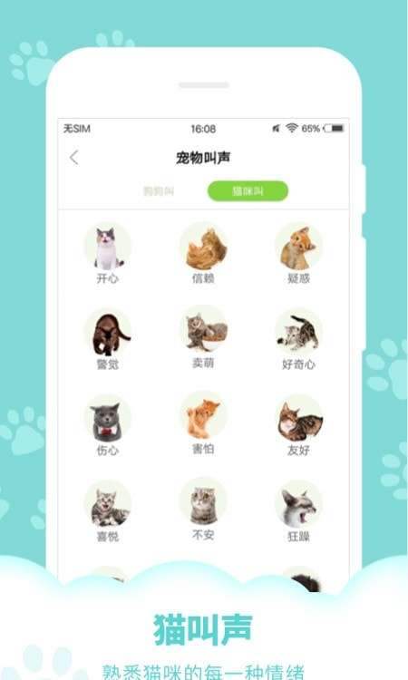 狗语翻译器中文图3