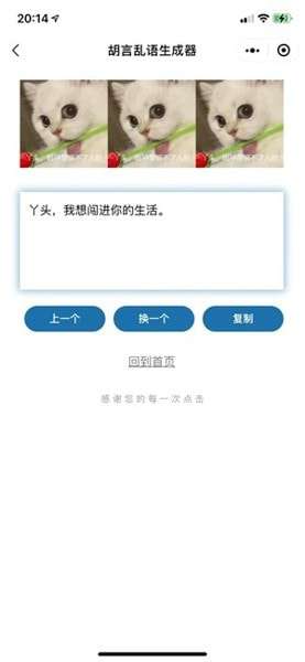 胡言乱语生成器(预约下载)图3
