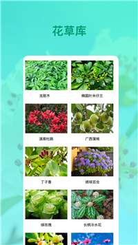 花卉识别安卓版图1