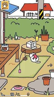 猫咪后院汉化版ourplay资源图2