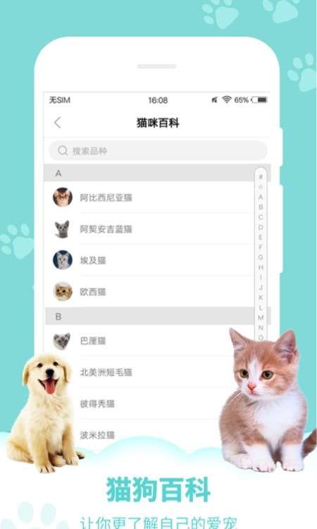 狗语翻译器中文图1