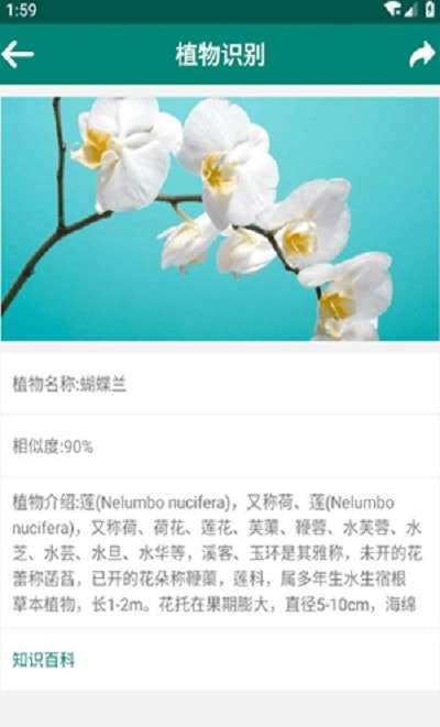 银河植物识别最新版图2