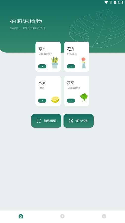 树林记忆安卓版图4