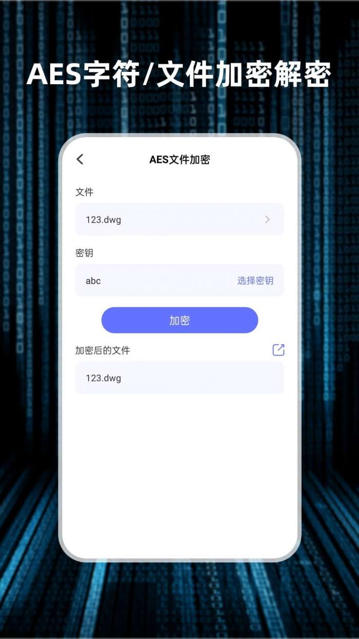 轻随机编码图3