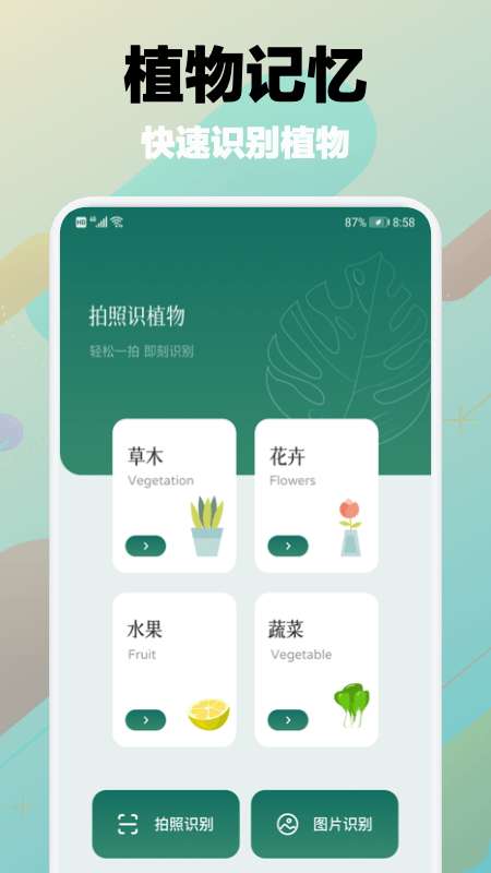 树林记忆安卓版图1