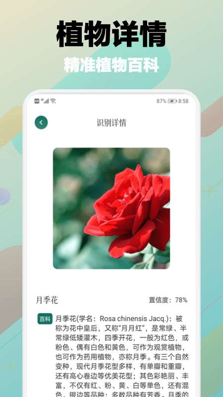 树林记忆安卓版图2