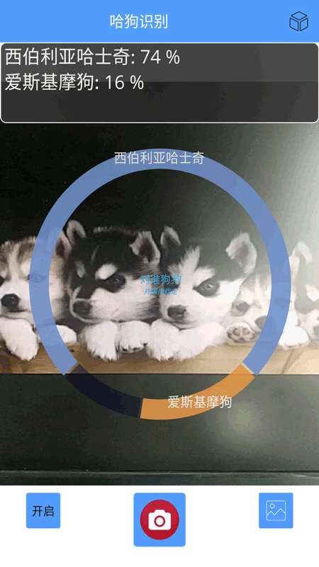 哈狗万能拍照识别最新版图3