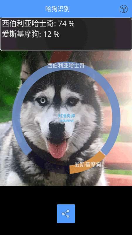 哈狗万能拍照识别最新版图4