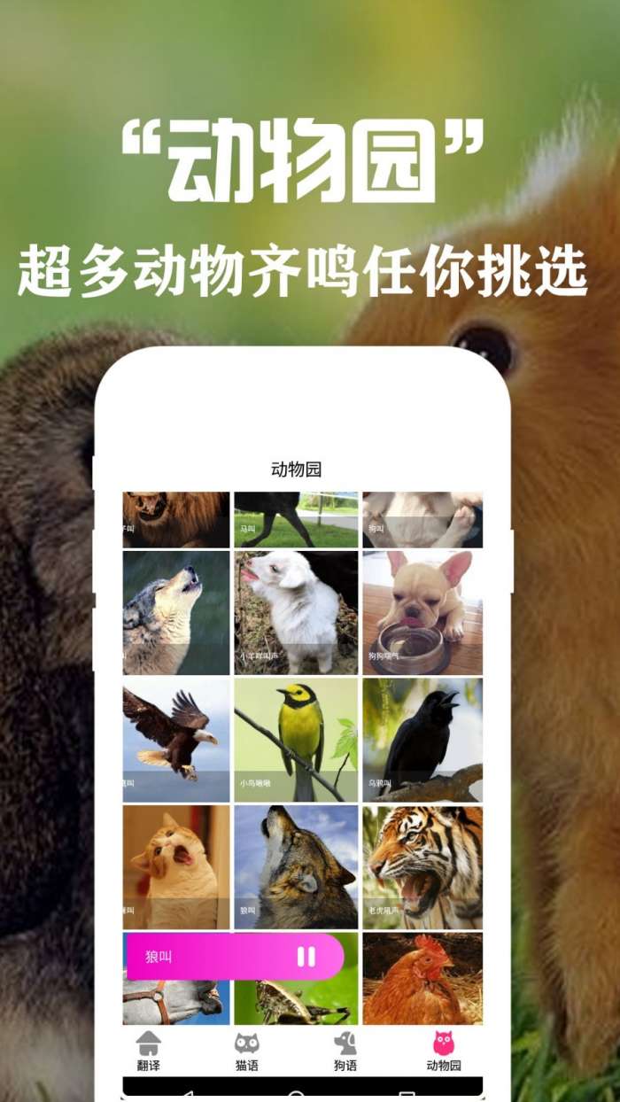 狗语翻译交流器免费版图5